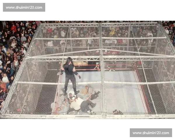 WWE男选手与女选手激烈对决场面精彩纷呈挑战极限引发热议